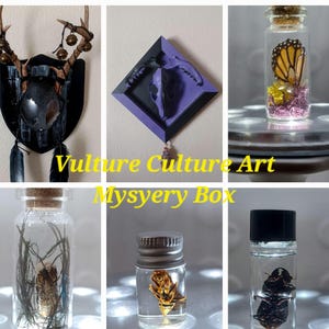 Vulture Culture art Box