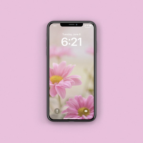 High Resolution Pink Daisy iPhone Wallpaper