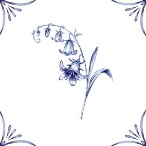 May include: A blue and white watercolour illustration of a delicate flower with bell-shaped blooms. The flower is drawn in a vintage style, with intricate details and a graceful curve.