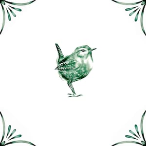 Könnte beinhalten: Eine grüne und weiße Illustration eines Vogels mit langem Schwanz und kurzem Schnabel. Der Vogel steht auf einem Bein und hat seine Flügel gefaltet. Die Illustration ist auf weißem Hintergrund.