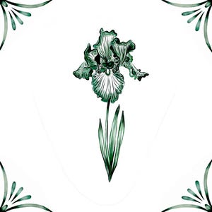 May include: A green and white watercolor illustration of an iris flower with a simple border design.