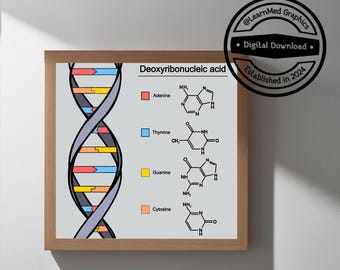 DNA Double Helix Art Print: Educational Biology Poster (Digital Download)