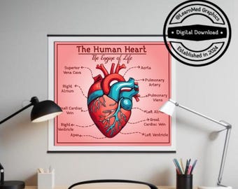 Human Heart Diagram Printable Poster | Wall, Office and Classroom Decor