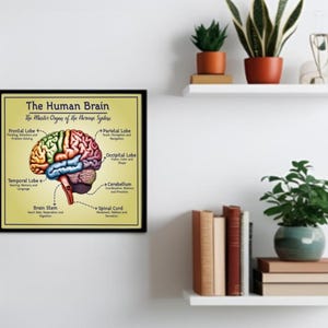 Human Brain Diagram Printable Poster | Wall, Office and Classroom Decor ...