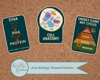 Biology Vinyl Sticker Set – DNA, Cell Anatomy & Ecosystem Flow – Science Classroom Decor