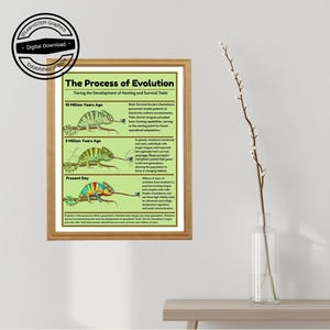 May include: A framed educational poster titled "The Process of Evolution" with text and illustrations of chameleons. The poster shows the evolution of hunting and survival traits over time. The poster is in a wooden frame.