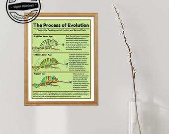 Evolution Explained: Chameleon Hunting & Camouflage Infographic | STEM Classroom Print