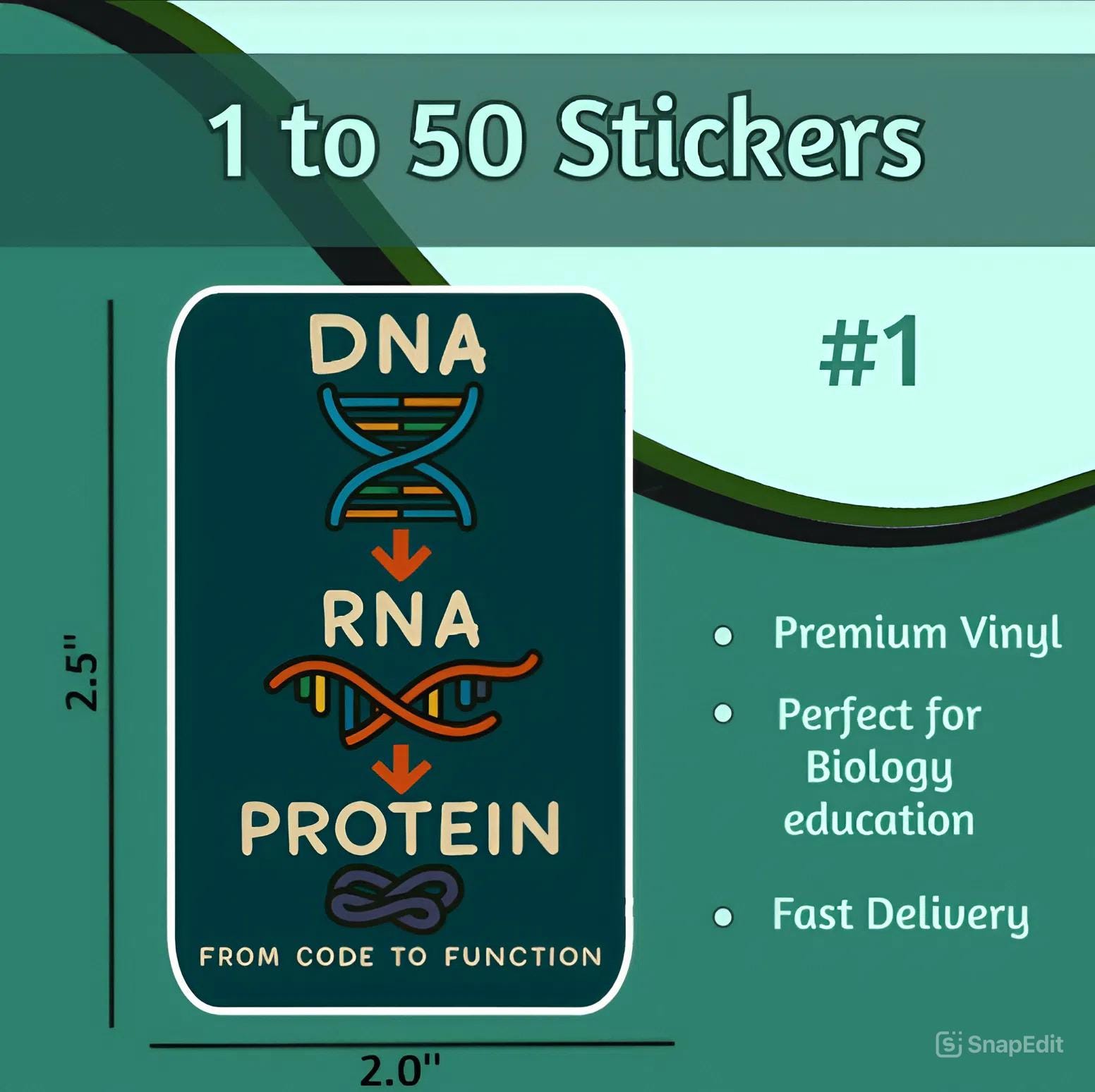 Biology Vinyl Sticker Set – DNA, Cell Anatomy & Ecosystem Flow ...