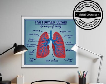 Human Lungs Diagram Printable Poster | Wall, Office and Classroom Decor