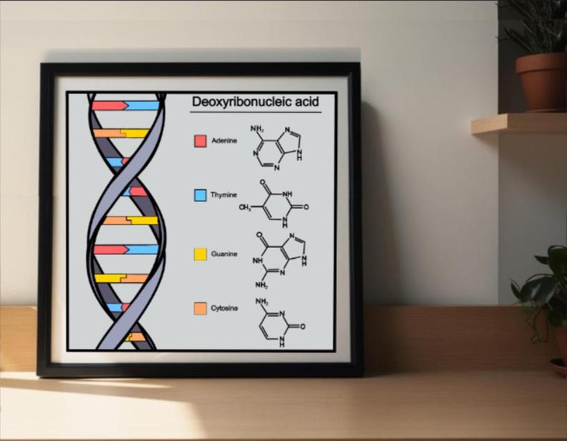 DNA Double Helix Art Print: Educational Biology Poster (digital ...