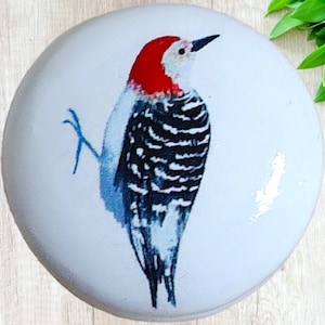 Puxador de gaveta em formato de pica-pau: puxador de móveis feito à mão, decoração para pássaros