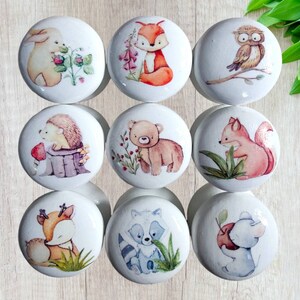 Puede incluir: Nueve pomos redondos blancos con diferentes ilustraciones de animales del bosque. Los animales incluyen un zorro, un erizo, un oso, un búho, un conejo, un mapache, un ratón y dos ardillas.