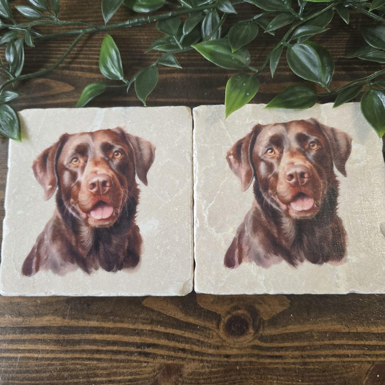 Labrador Coasters Labrador Coasters, Dog Owner Gift, Tea Coffee Drinks Mats, Chocolate ...