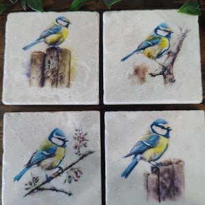 Bluetit Coasters, British Bird Drinks Coasters, Bluetit Tea and Coffee Table Mats, Garden Birds