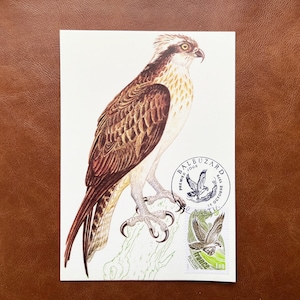 NO 2018 FDC Vintage French Maximum Postcard - Wild Animals BALBUZARD, emitido em 14 de outubro de 1978 para coleção, colagem, decoração de página
