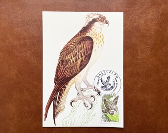 NO 2018 FDC Vintage French Maximum Postcard- Wild Animals BALBUZARD, Issued On October 14, 1978 For Collection, Collage, Page Decoration