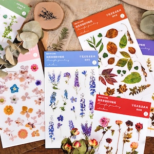 Adesivo de transferência de flores secas, 2 folhas de florais, plantas para uso em várias superfícies, scrapbooking, diários de lixo, itens efêmeros, criação de cartões