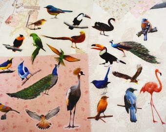 Clear PET Birds Stickers Set, Watercolors Birds Stickers For Junk Journals, Scrapbook, Ephemera, Craft Supplies,  Embellishments