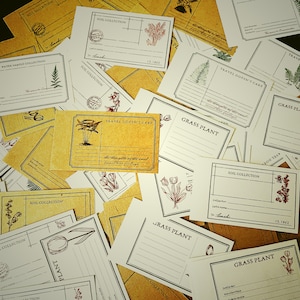 May include: A collection of blank cards with various designs, including floral patterns, text, and the words "Soil Collection", "Grass Plant", and "Travel Doesn't Care".