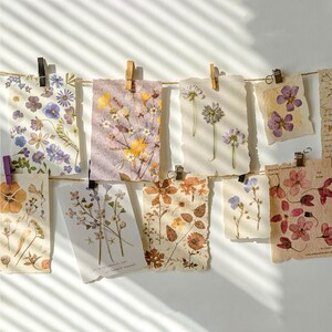 May include: A collection of pressed flower art pieces, each featuring a unique arrangement of dried blooms. The artwork is displayed on textured paper, clipped to a string with various clips. The color palette includes purples, yellows, and browns.