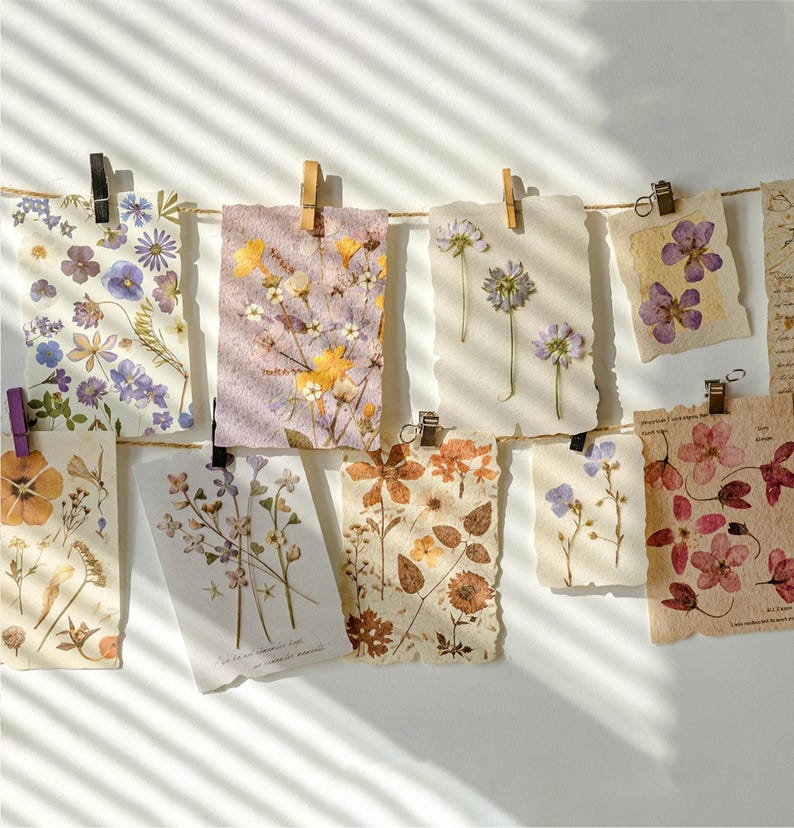 May include: A collection of pressed flower art pieces, each featuring a unique arrangement of dried blooms. The artwork is displayed on textured paper, clipped to a string with various clips. The color palette includes purples, yellows, and browns.
