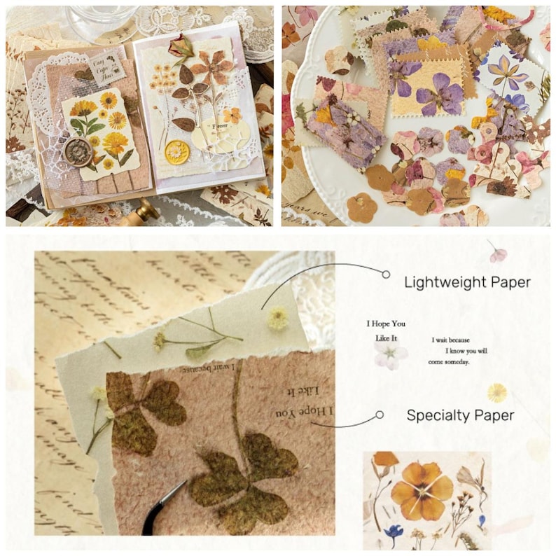 May include: A collection of pressed flowers and botanical elements on paper. The image shows various arrangements, including cards, decorative paper pieces, and loose floral accents. The color palette includes natural tones of beige, brown, and hints of yellow and purple.