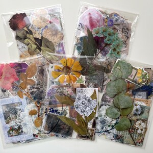Op de afbeelding: Vier doorzichtige plastic zakjes gevuld met geperste bloemen- en bladstickers. De stickers tonen een verscheidenheid aan bloemendesigns, waaronder rozen, madeliefjes en eucalyptusbladeren. De stickers zijn perfect om een vleugje natuur toe te voegen aan je knutselwerk en projecten.