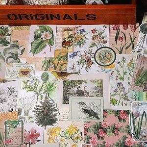 Kit de 200 piezas de diario basura con efímeras retro mixtas, pegatinas de flores, plantas, pájaros y bosques, papel para álbumes de recortes, suministros para collage, manualidades de papel