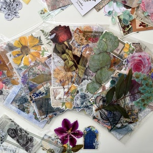 50 pezzi di adesivi di fiori e piante, confezione regalo – vari stili per scrapbooking, collage, imballaggio, decorazione di laptop, adesivi per custodie per telefoni