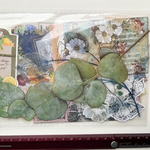 Op de afbeelding: Een doorzichtige plastic zak gevuld met verschillende papieren ephemera en gedroogde eucalyptusbladeren. De ephemera omvat bloemmotieven, tekst en een vogelillustratie. De tekst bevat de woorden "change you can make for the good".