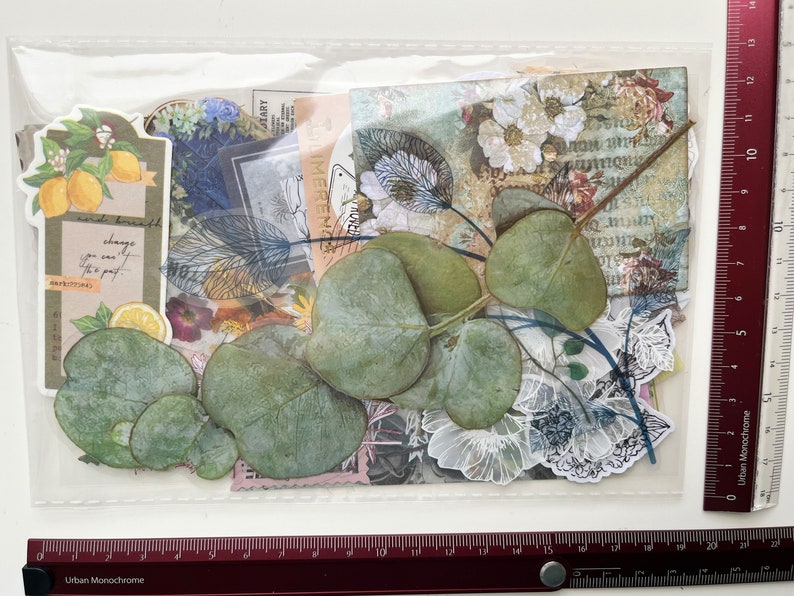 Op de afbeelding: Een doorzichtige plastic zak gevuld met verschillende papieren ephemera en gedroogde eucalyptusbladeren. De ephemera omvat bloemmotieven, tekst en een vogelillustratie. De tekst bevat de woorden "change you can make for the good".