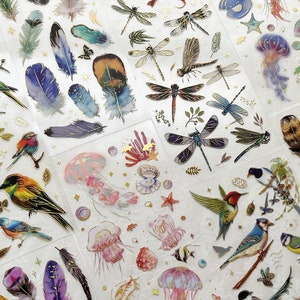 Ensemble d'autocollants en feuille d'or pour animaux de compagnie, série Nature, autocollants océan plumes, libellule, oiseau pour scrapbooking, agenda de journaux indésirables, techniques mixtes