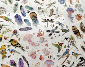 Nature Series Gold foil PET Strip Sticker Set, Feather Dragonfly Bird Ocean Stickers  For Scrapbooking Junk Journal Planner Mixed Media