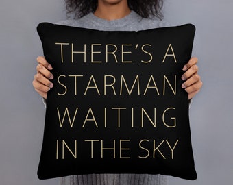 Throw Pillow / Decorative Pillow ( case + insert ) - Rock Music Cushion