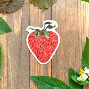 Vintage Strawberry Sticker - Vinyl Fruit Stickers for Hydro Flask – Pergamo  Paper Goods