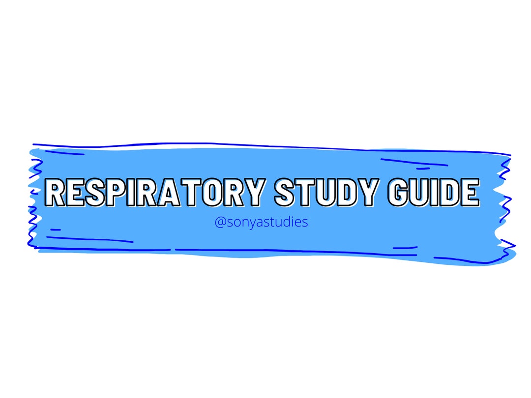 Respiratory Study Guide Nursing Etsy