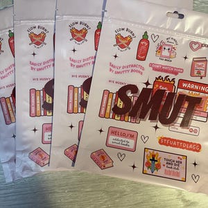 Smut Mystery Packs, Bookish Mystery Packs, Bookish Merch, Smut Readers, Reader Surprise, Book Lover Surprise image 5