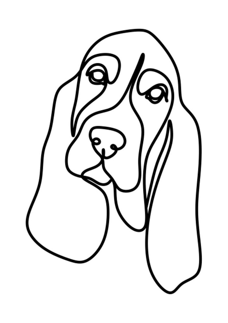 Basset Hound Dog Picture Basset Hound Art Png Dog Print - Etsy