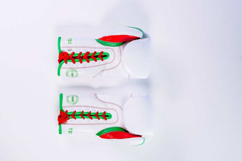 May include: A pair of white boxing gloves with red and green trim. The gloves have laces and the text "TS1" is printed on the side.