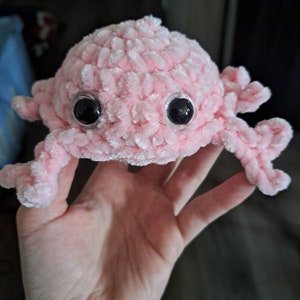 Baby crab