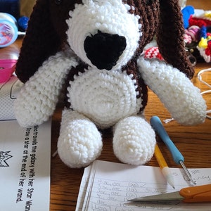 Basset hound