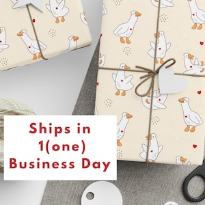 Carta da regalo Silly Goose Gifts, Rotolo di carta da regalo Goose, Rotolo di carta da regalo Goose Birthday Gifts