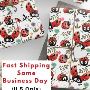 Ladybugs Wrapping Paper, Ladybug Birthday Gifts, Ladybugs Gift Wrapping Paper