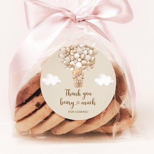 Teddybär Danke Tags Aufkleber Beary Geburtstag Heißluftballon Bär Baby Shower Favor Tags Geschenkanhänger Printable Bearbeitbar