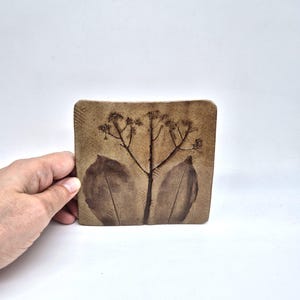 May include: A square, brown ceramic tile with a botanical design. The tile features an embossed image of a plant with a central stem, leaves, and delicate flower clusters. The design is in a darker shade of brown against a lighter brown background.