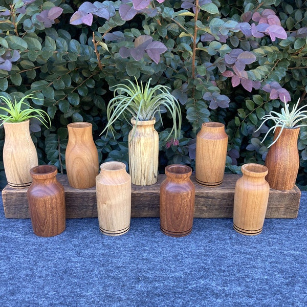 Air Plant Holder Desk Etsy