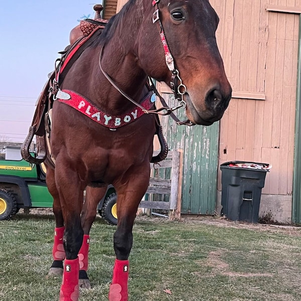 Custom One Earred Headstall