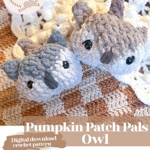 Puede incluir: Dos juguetes de búho de ganchillo hechos a mano, grises y marrones, con ojos de seguridad negros, están sobre una manta de ganchillo. Los búhos forman parte de la colección "Pumpkin Patch Pals". La imagen también incluye el texto "Loved Knots" y "Digital download crochet pattern."
