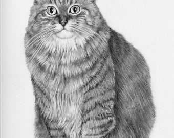 Gato, arte de parede para impressão, download digital