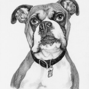 Boxer Dog Art, Instant Download Picture Digital Printable Graphic